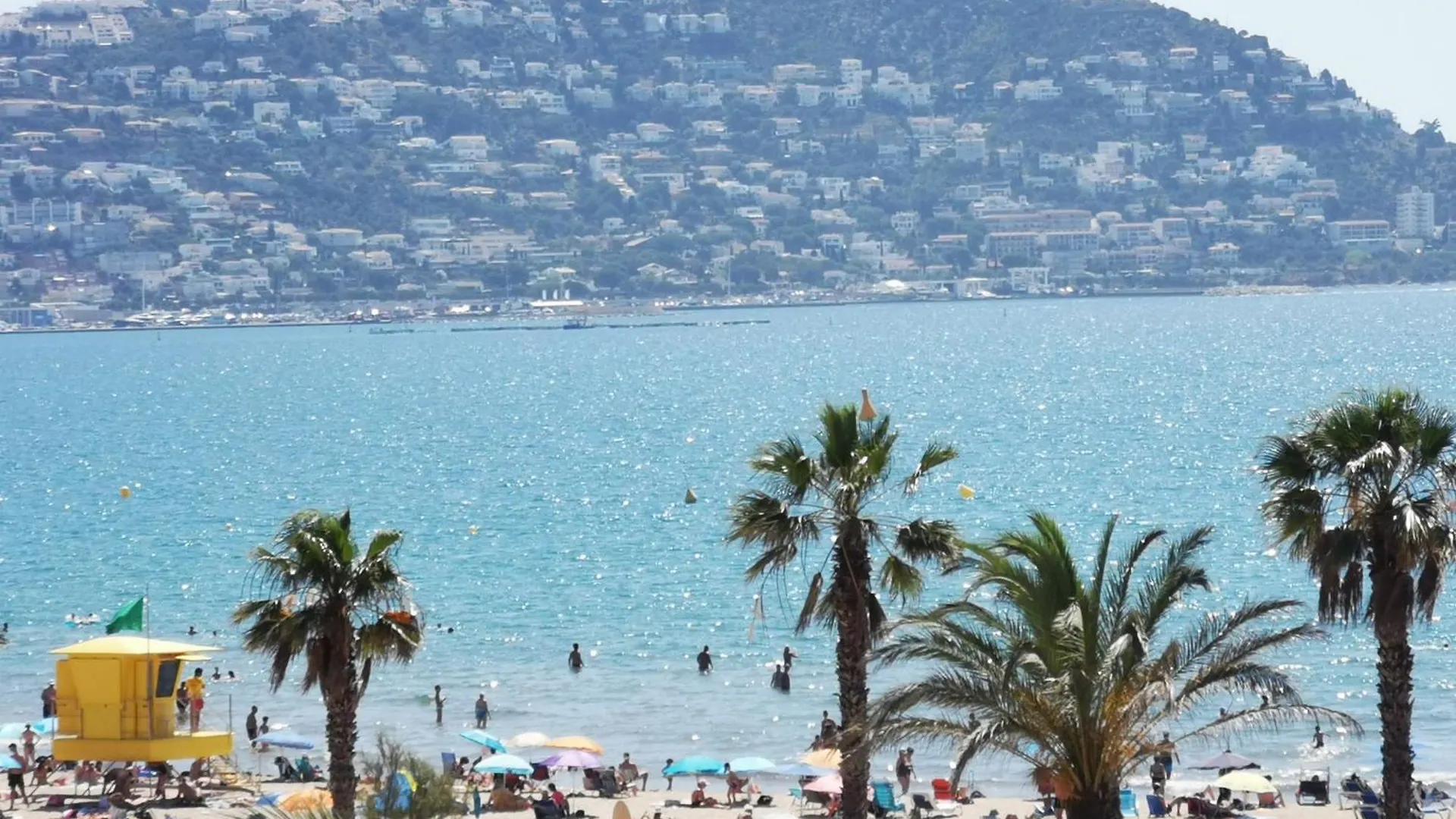 Apartment Spacieux Appartement Rose Front Mer Et Piscine Roses