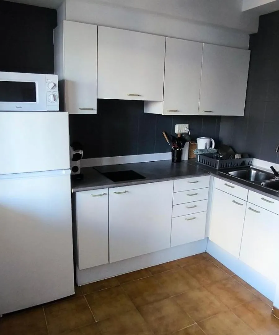 Spacieux Appartement Rose Front Mer Et Piscine Roses